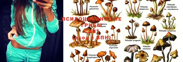 мдпв Балабаново
